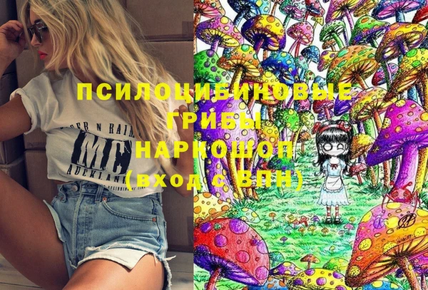 дживик Богородицк