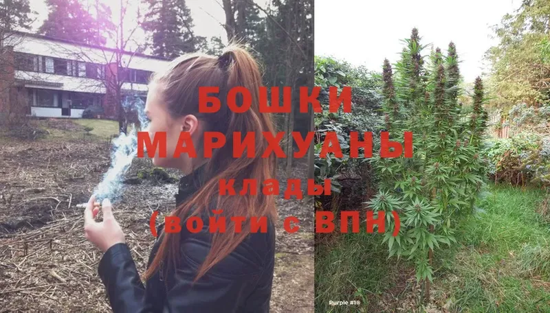 Бошки марихуана White Widow  как найти   Анадырь 